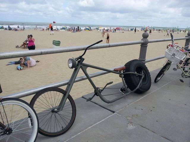 Daily Picdump