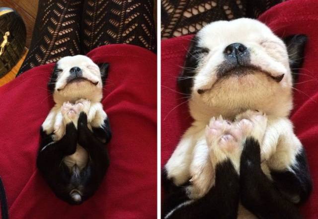 Daily Picdump