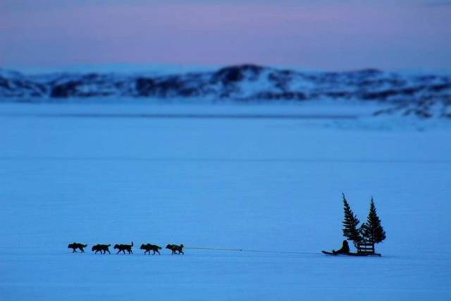 Content Image