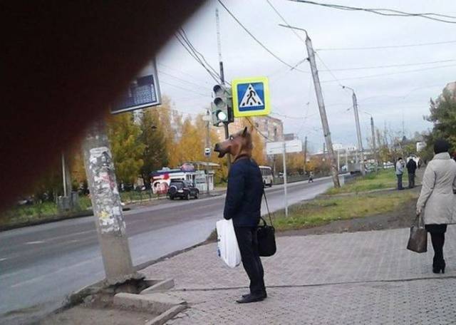Content Image