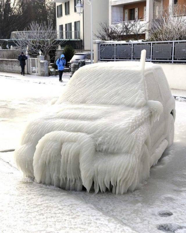 Daily Picdump