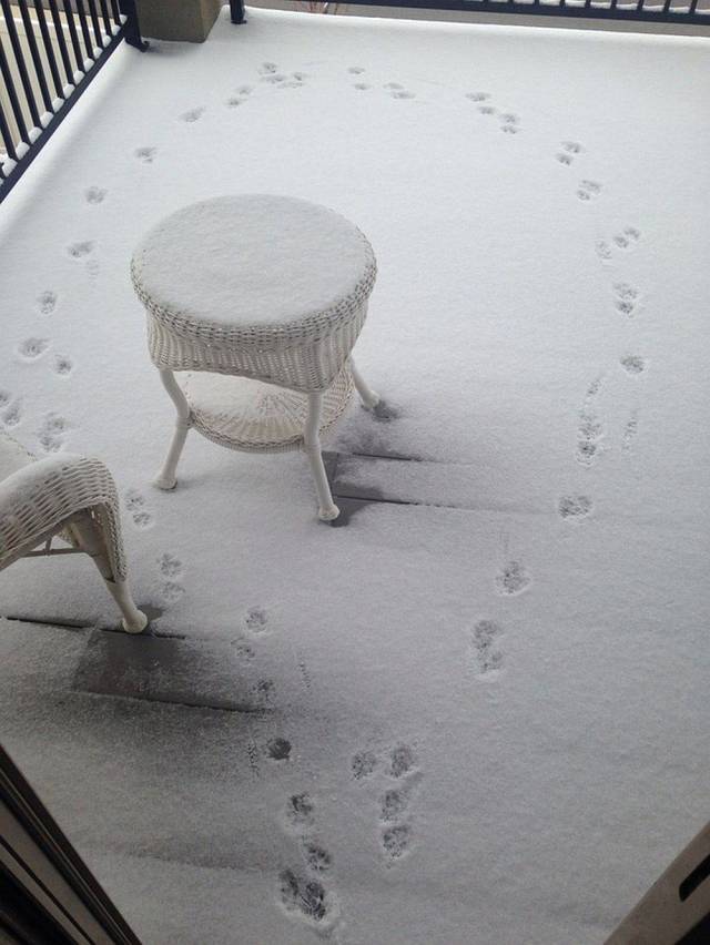 Daily Picdump