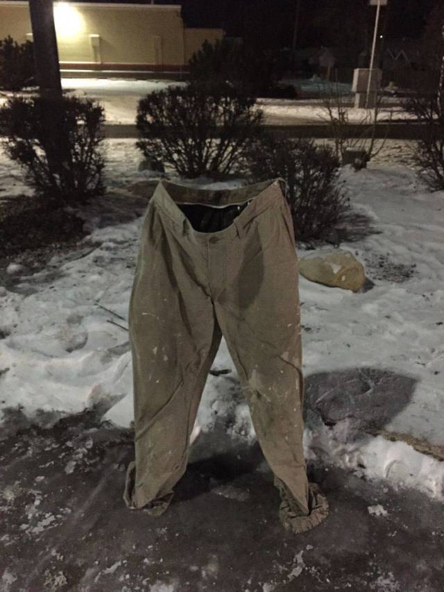 Content Image