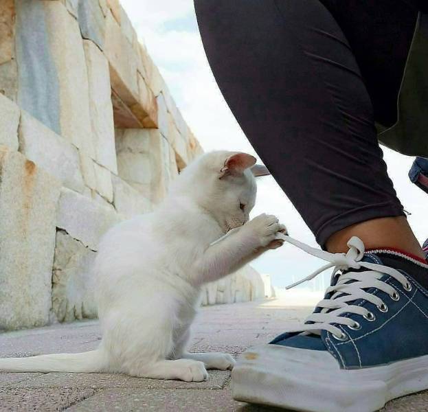 Morning Picdump