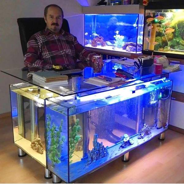 Content Image