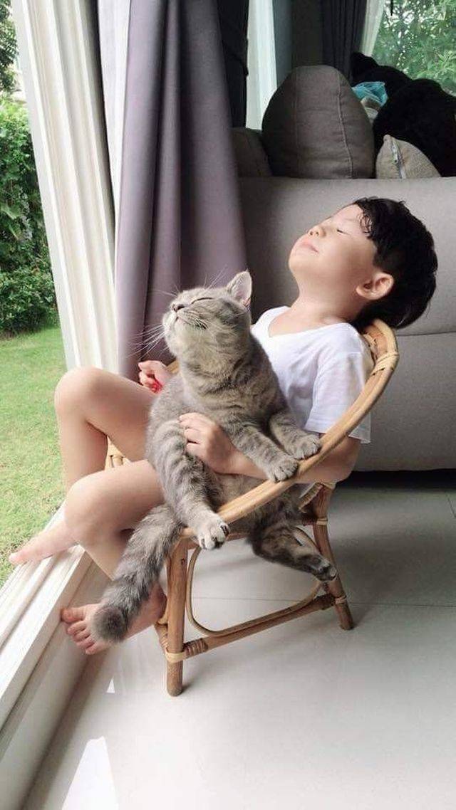Content Image