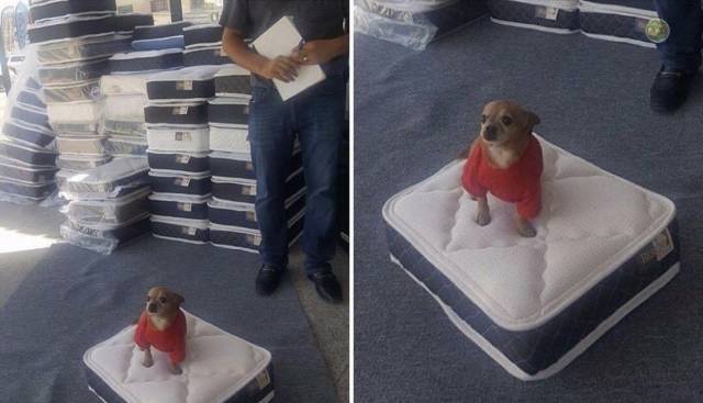 Daily Picdump
