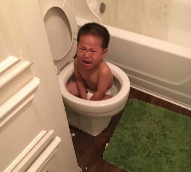 Content Image