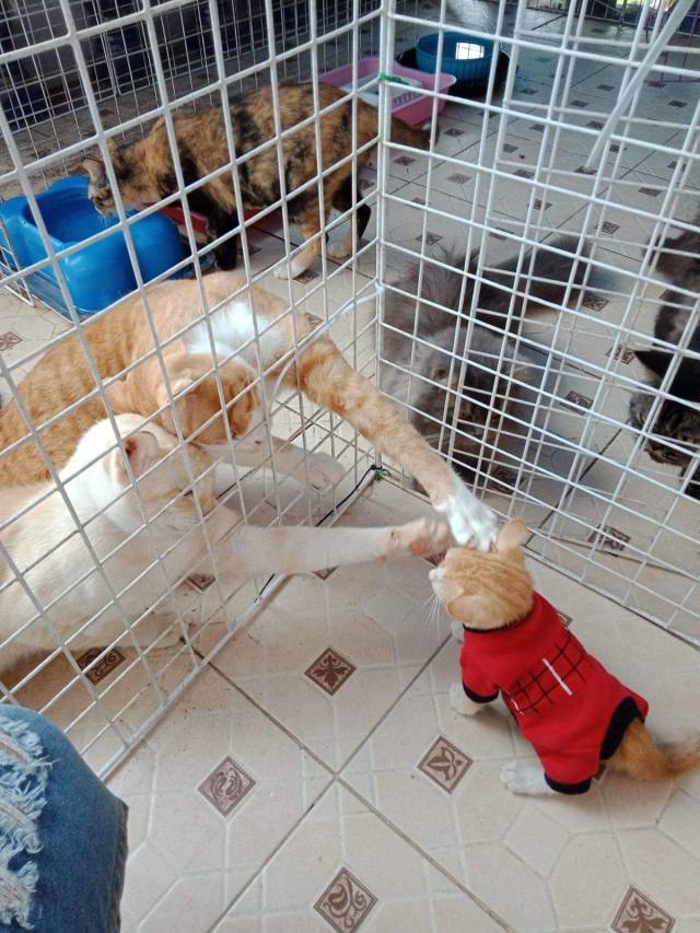 Daily Picdump