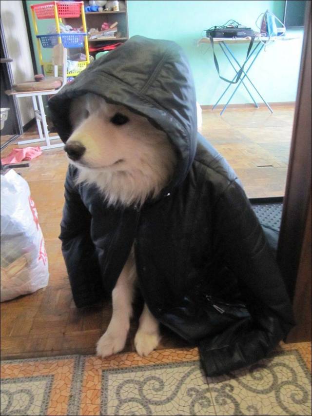 Daily Picdump