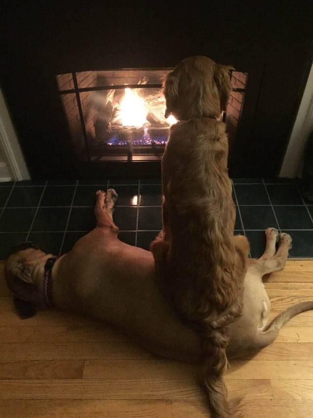 Daily Picdump