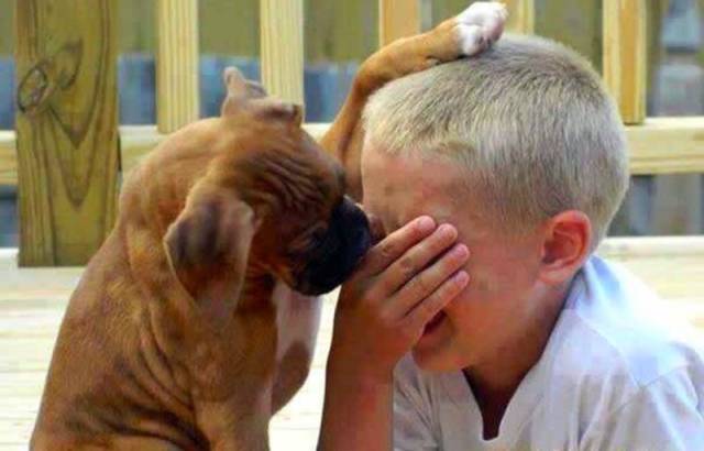 Daily Picdump [WEEKEND EDITION]