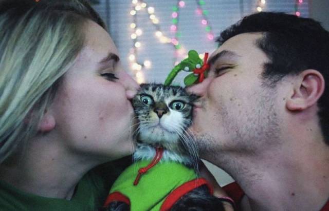Daily Picdump [WEEKEND EDITION]