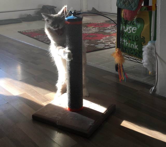Daily Picdump