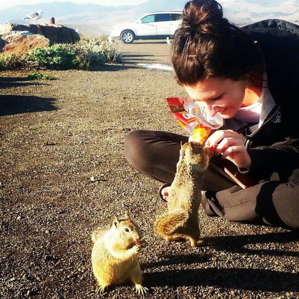 Daily Picdump