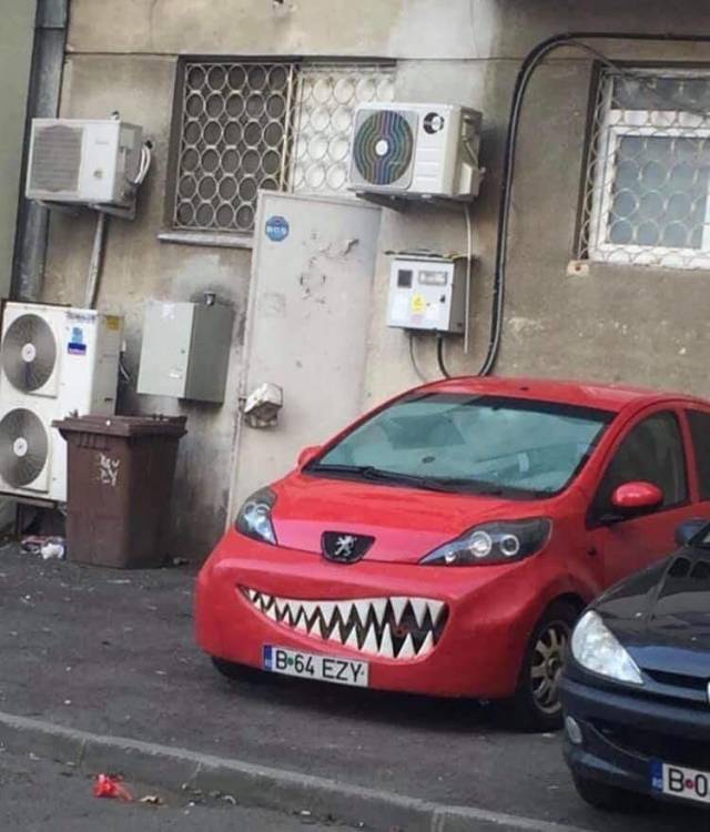 Daily Picdump