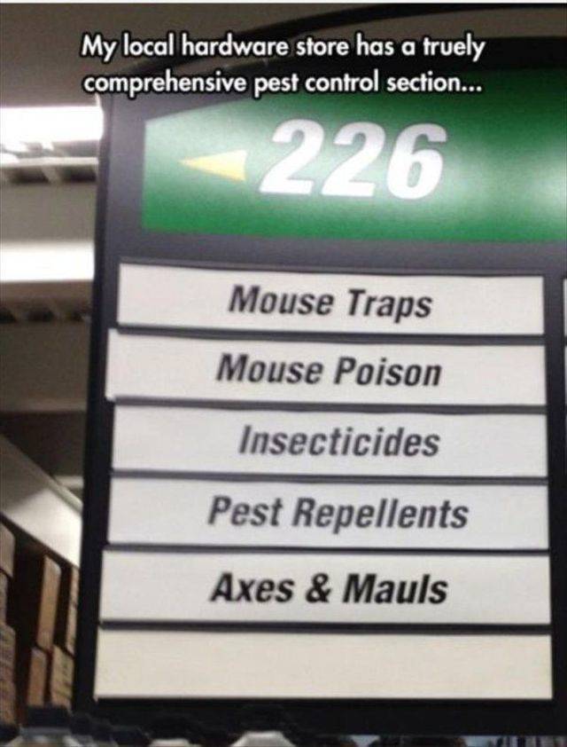 Content Image