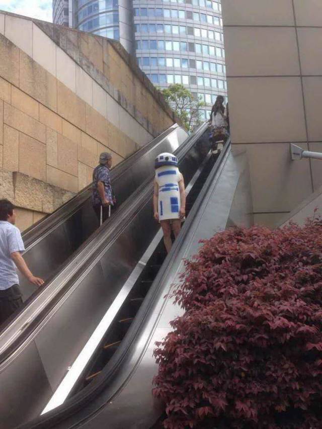 Content Image
