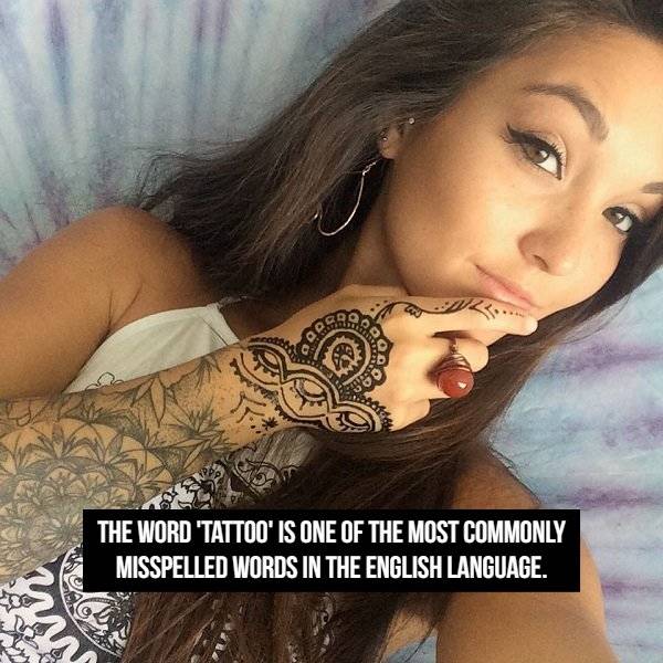 Masterfully Inked Tattoo Facts