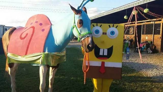 Content Image
