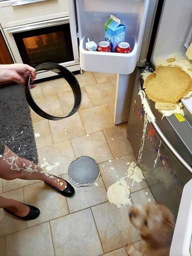 Content Image