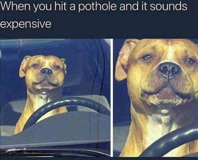 Funny Picdump