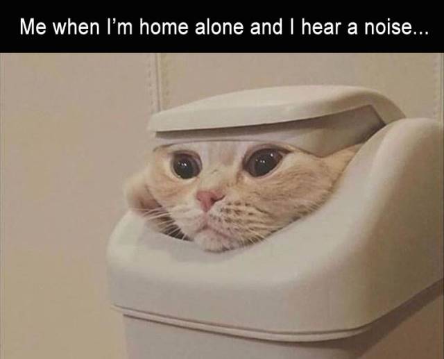 Content Image