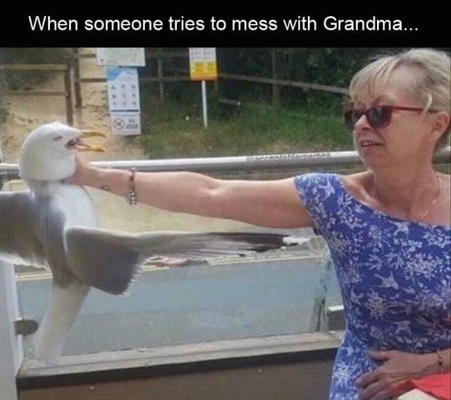 Content Image