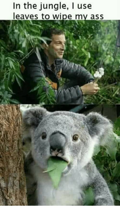 Funny Picdump