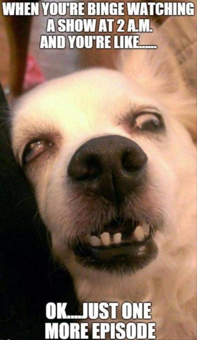 Funny Picdump