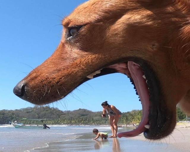 Morning Picdump