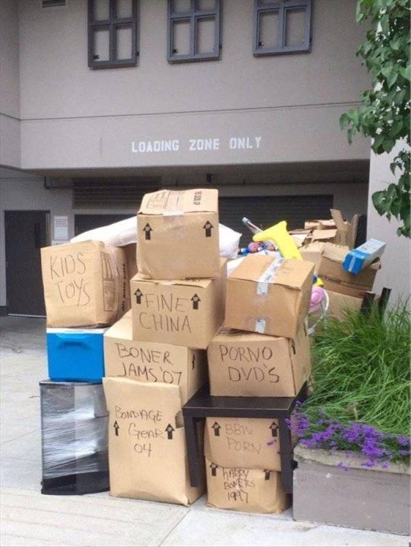 Morning Picdump