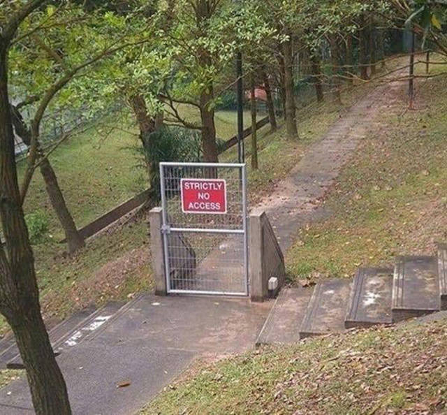 Content Image