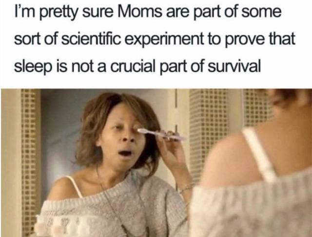 Funny Picdump