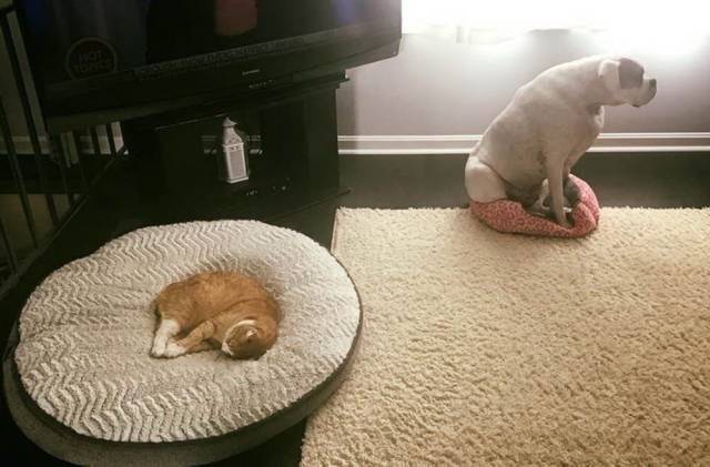 Daily Picdump