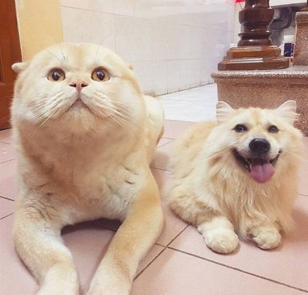 Daily Picdump
