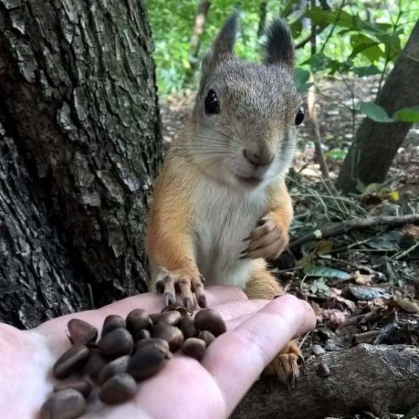 Daily Picdump