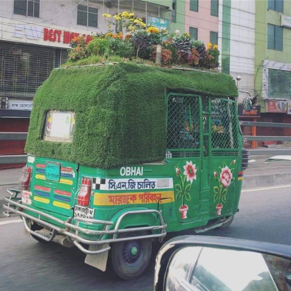 Content Image