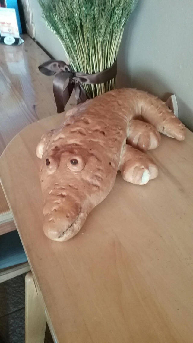 Morning Picdump