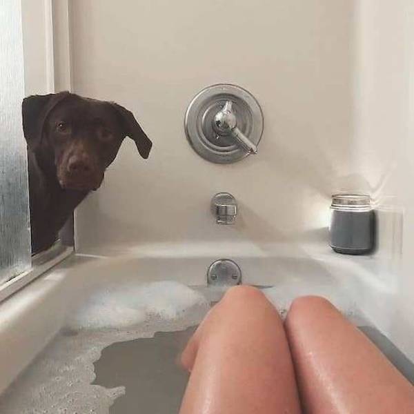 Daily Picdump