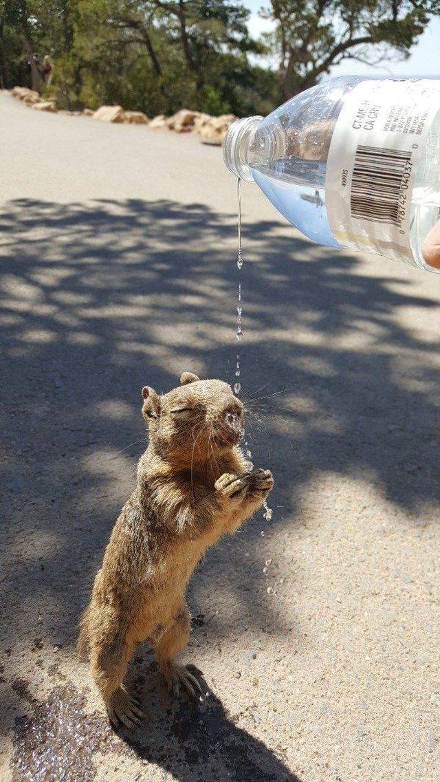 Daily Picdump
