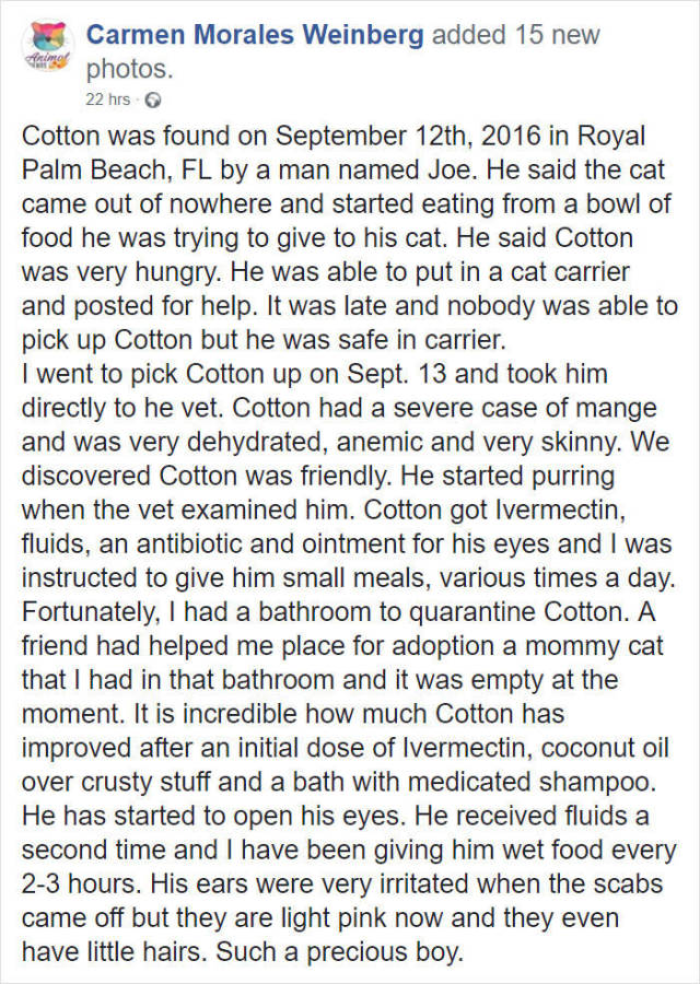This Cat Wasn’t Actually Blind!