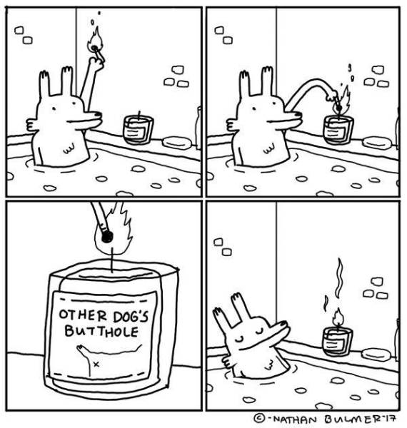 Content Image