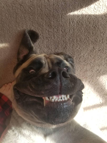 Content Image