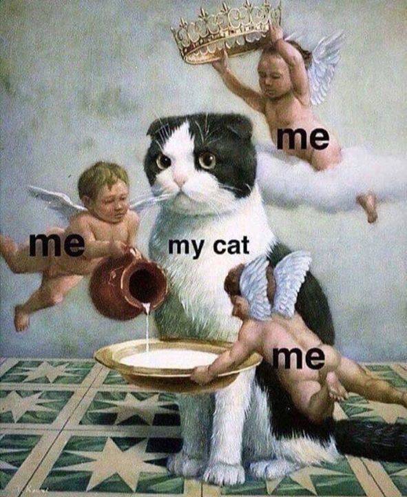Funny Picdump