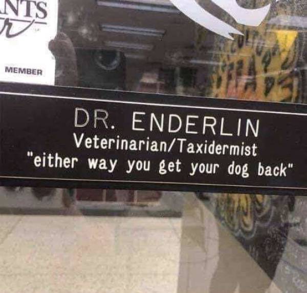 Funny Picdump