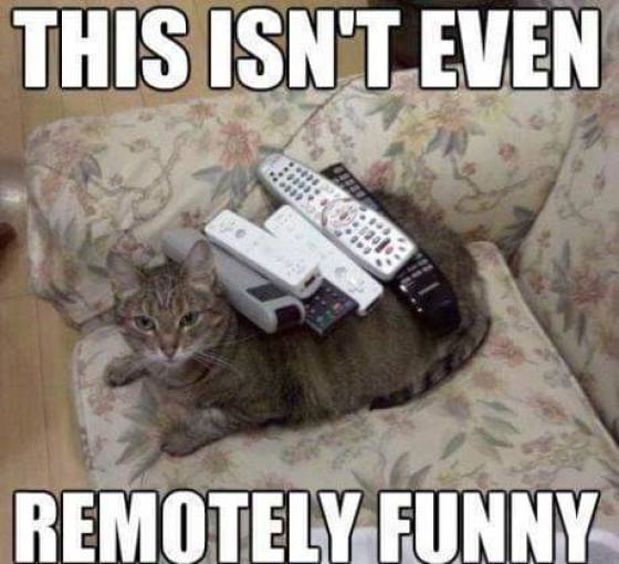 Funny Picdump