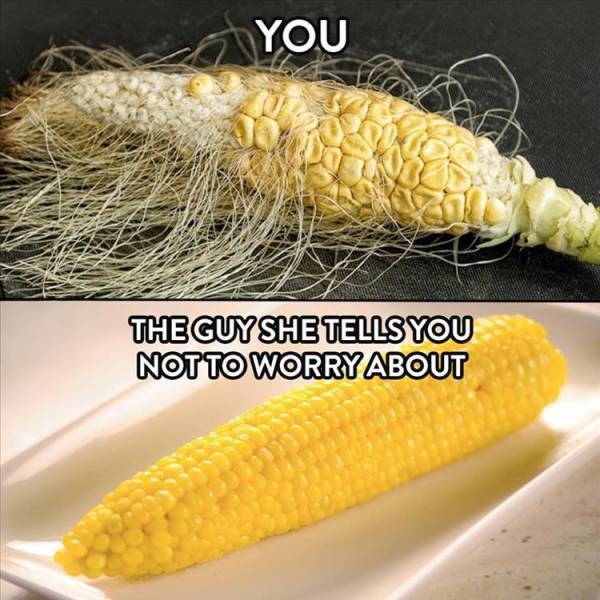 Content Image