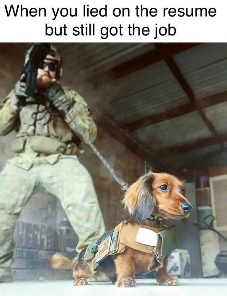 Funny Picdump