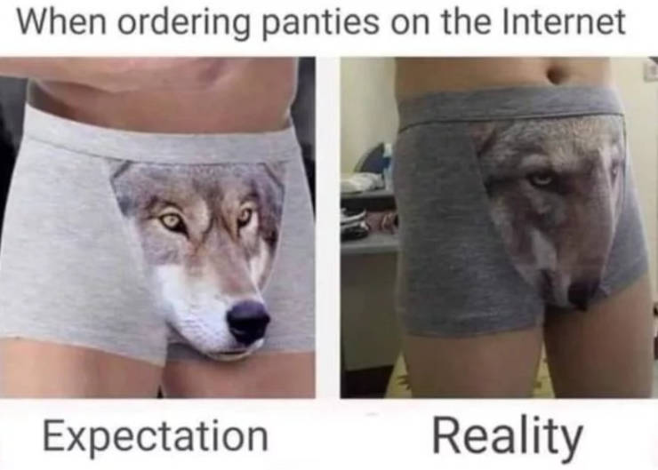 Funny Picdump